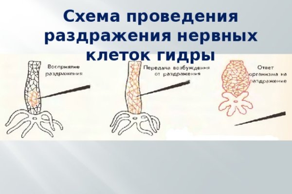 Что такое кракен маркетплейс в россии