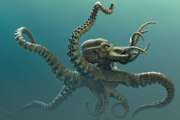 Кракен вход ссылка kraken torion net