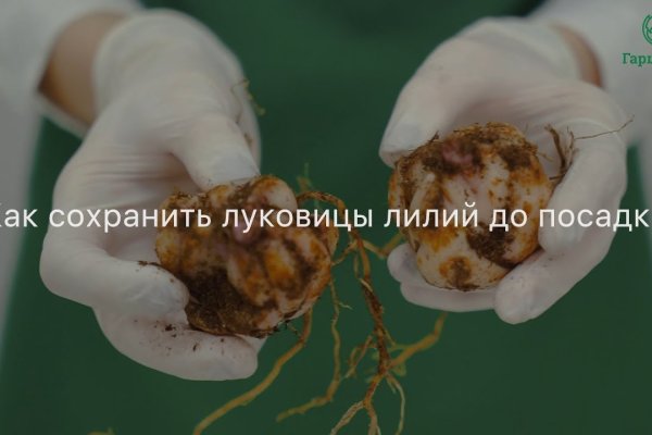 Ссылка для входа на сайт kraken