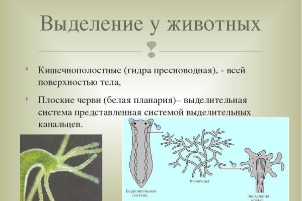 Где найти рабочую ссылку кракен