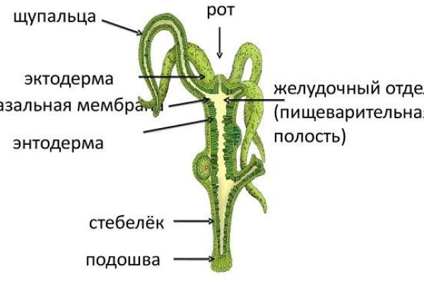 Зеркало кракен дарк