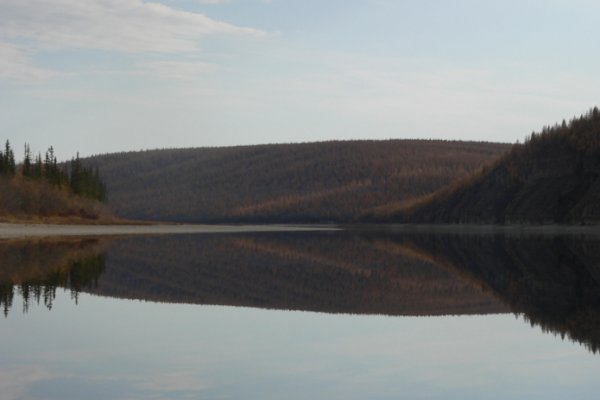 Кракен ориг ссылка