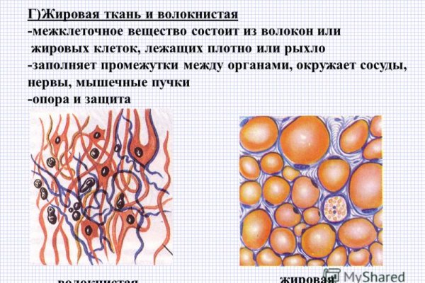 Kraken ссылка актуальная москва
